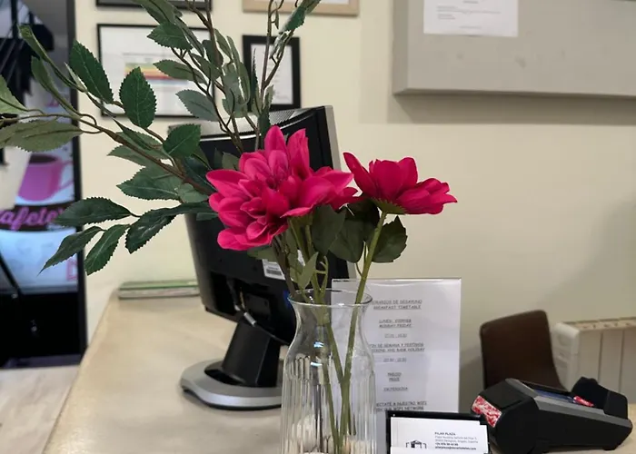 ピラール プラザ 3* サラゴサ